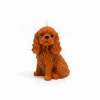 Soy candles cute pets