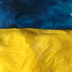 Easter Collection Pysanka Dye #01 Canola Yellow