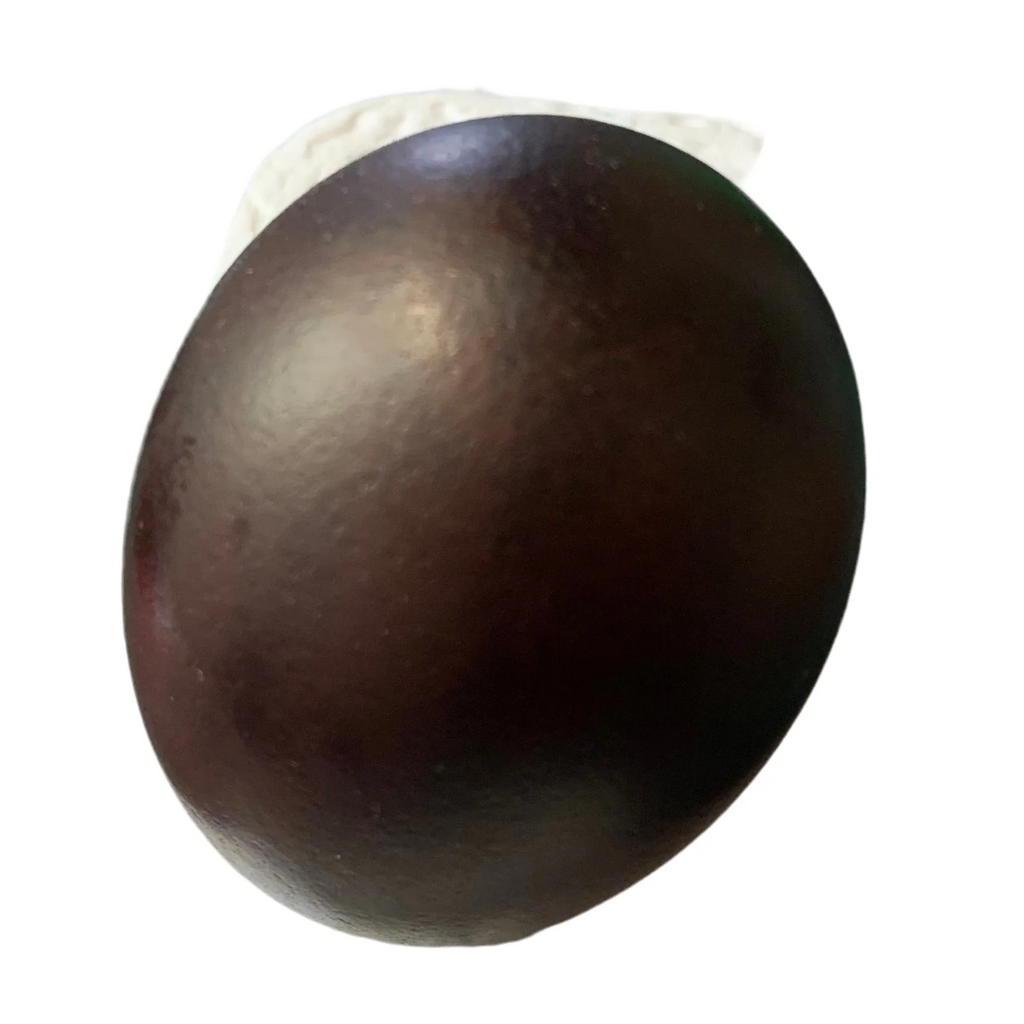 Easter Collection Pysanka Dye #12 Beaver Brown