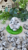 Soap Bunny