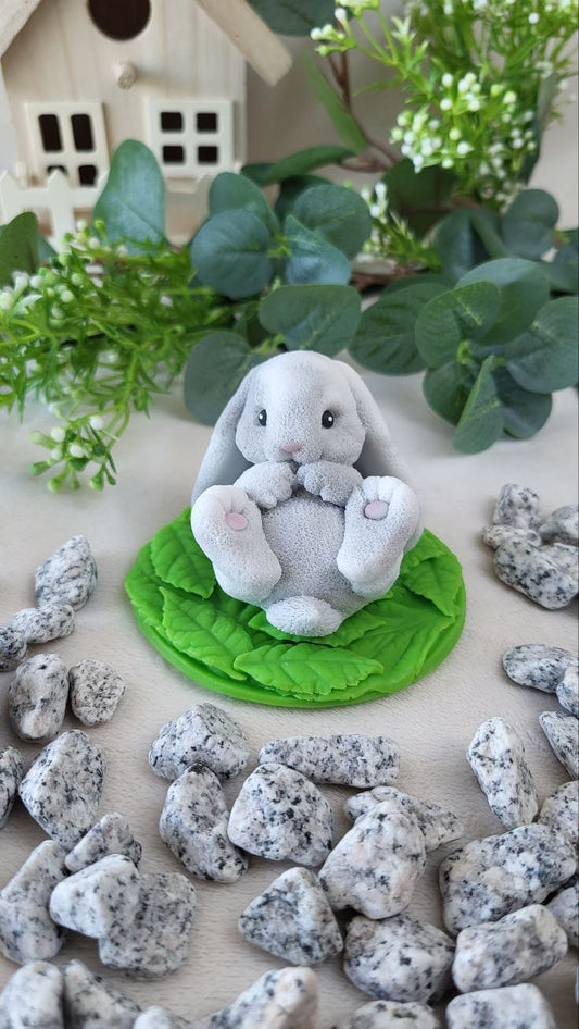 Soap Bunny