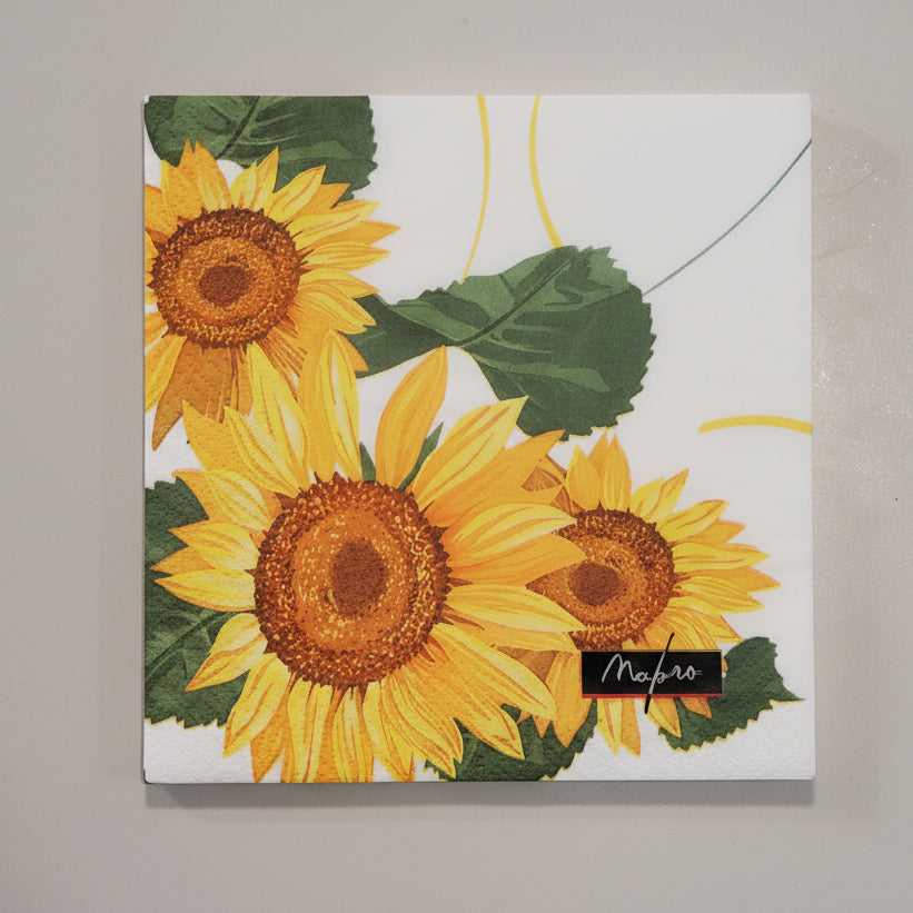 Napkins 33x33 18 pcs T2