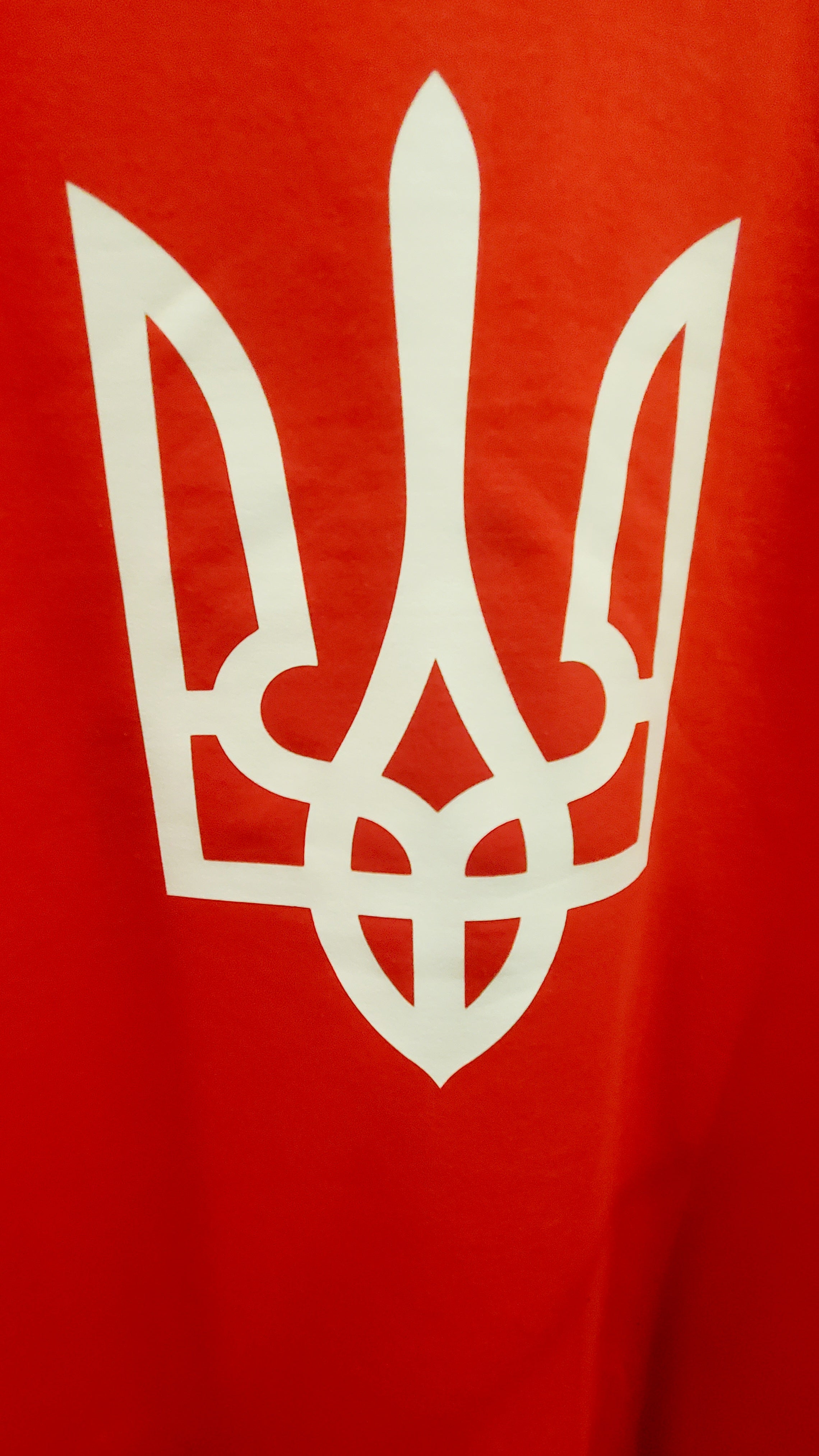 Sweatshirt Adult Mix S-L AB