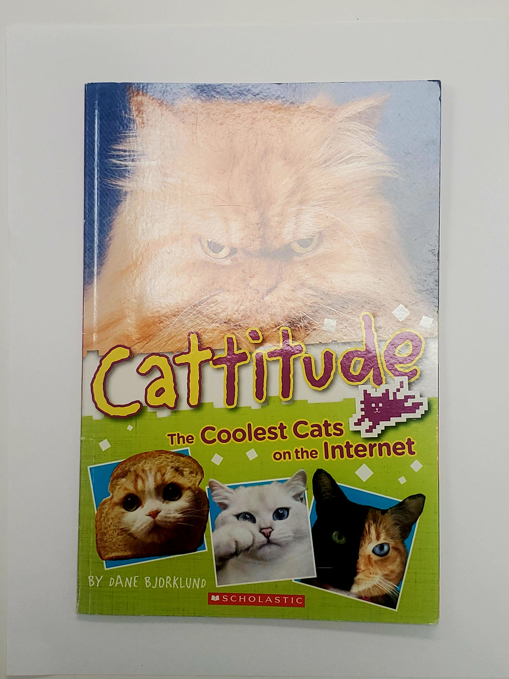 Children's Book Scholastic Readers