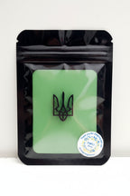 Brooch "UA Trident" T2