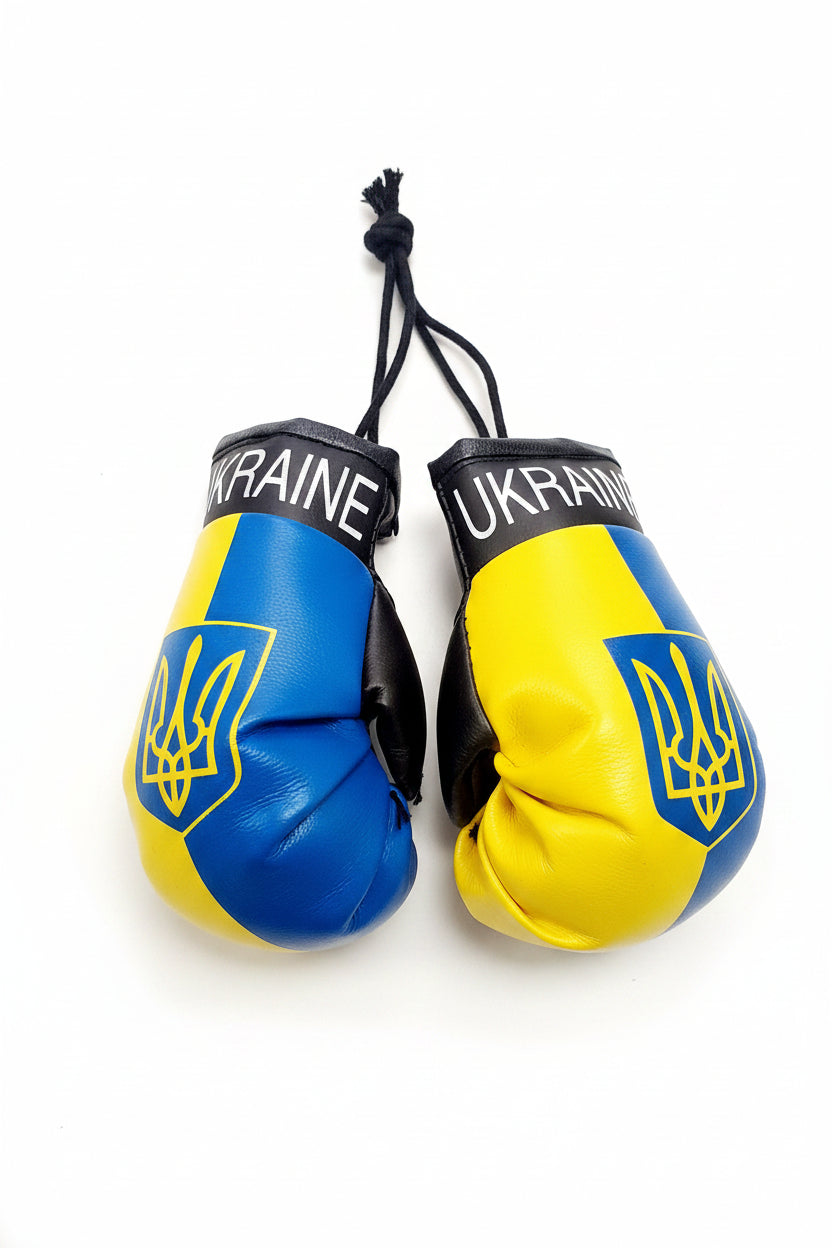 Ukraine National Flag Boxing Gloves for car