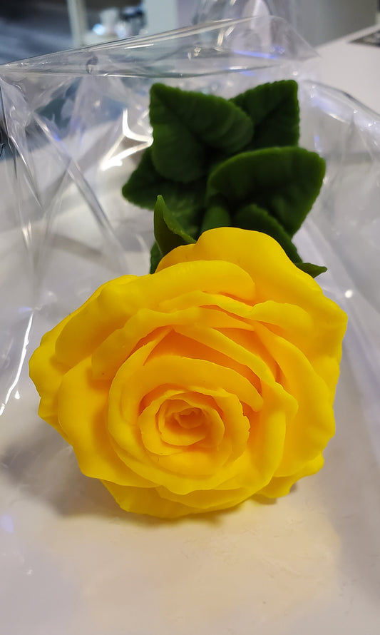 Soap Rose on stem