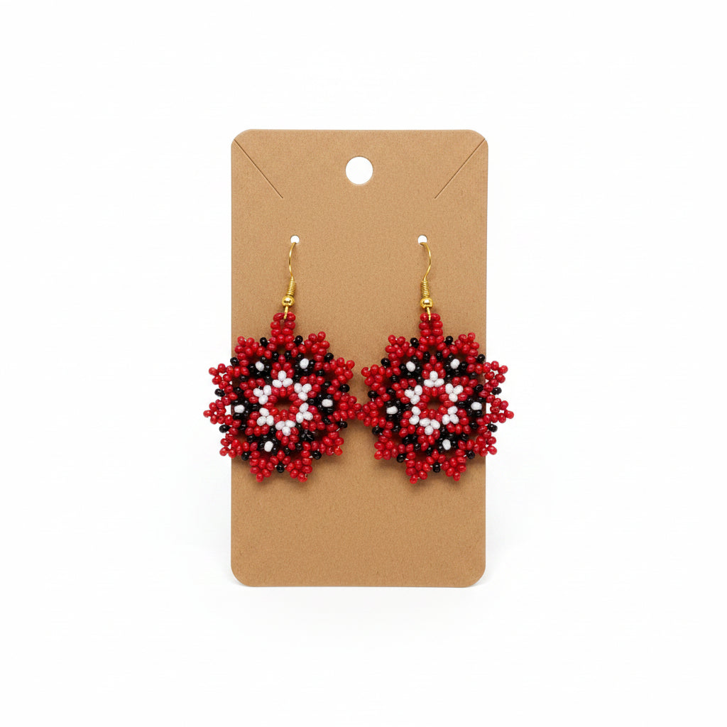 Beaded Earrings T2