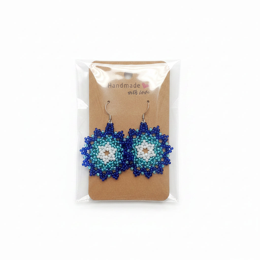 Beaded Earrings T2