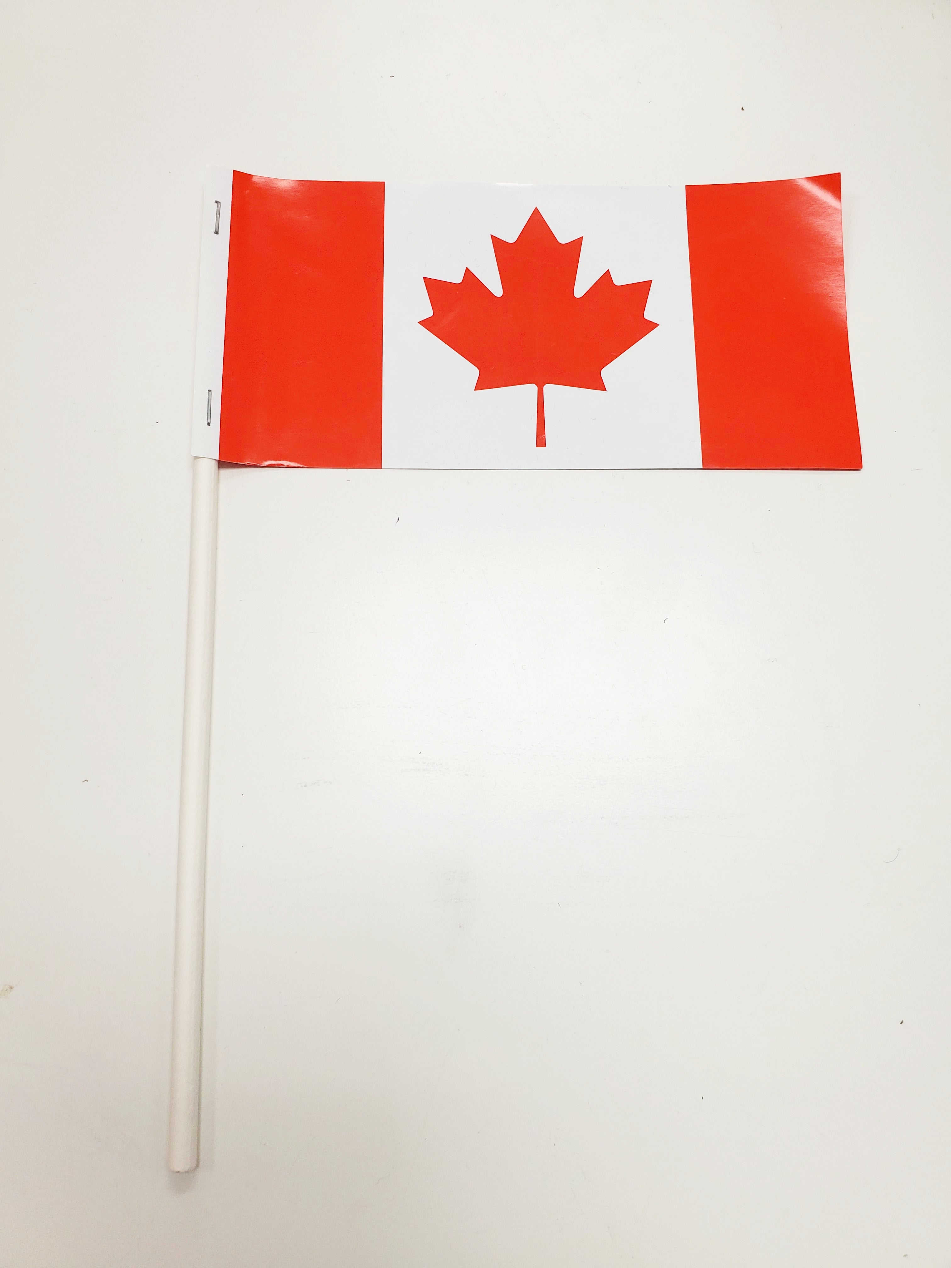 Flag Canada Small