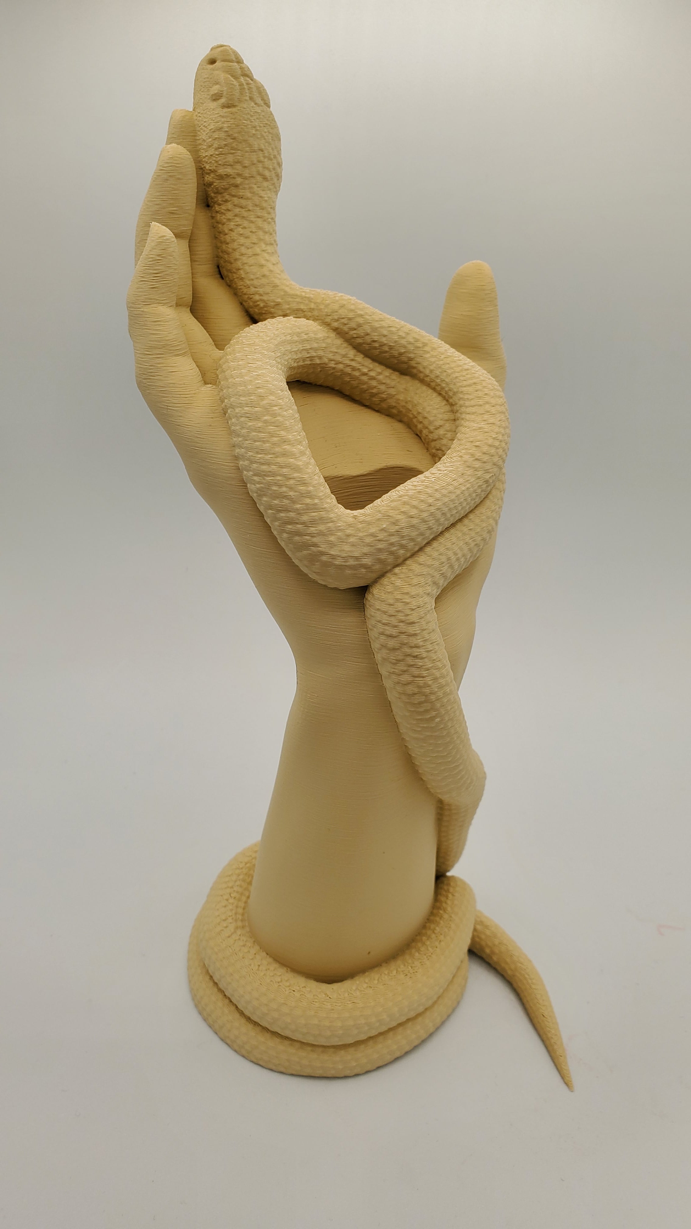 3D Print Hand with Snake