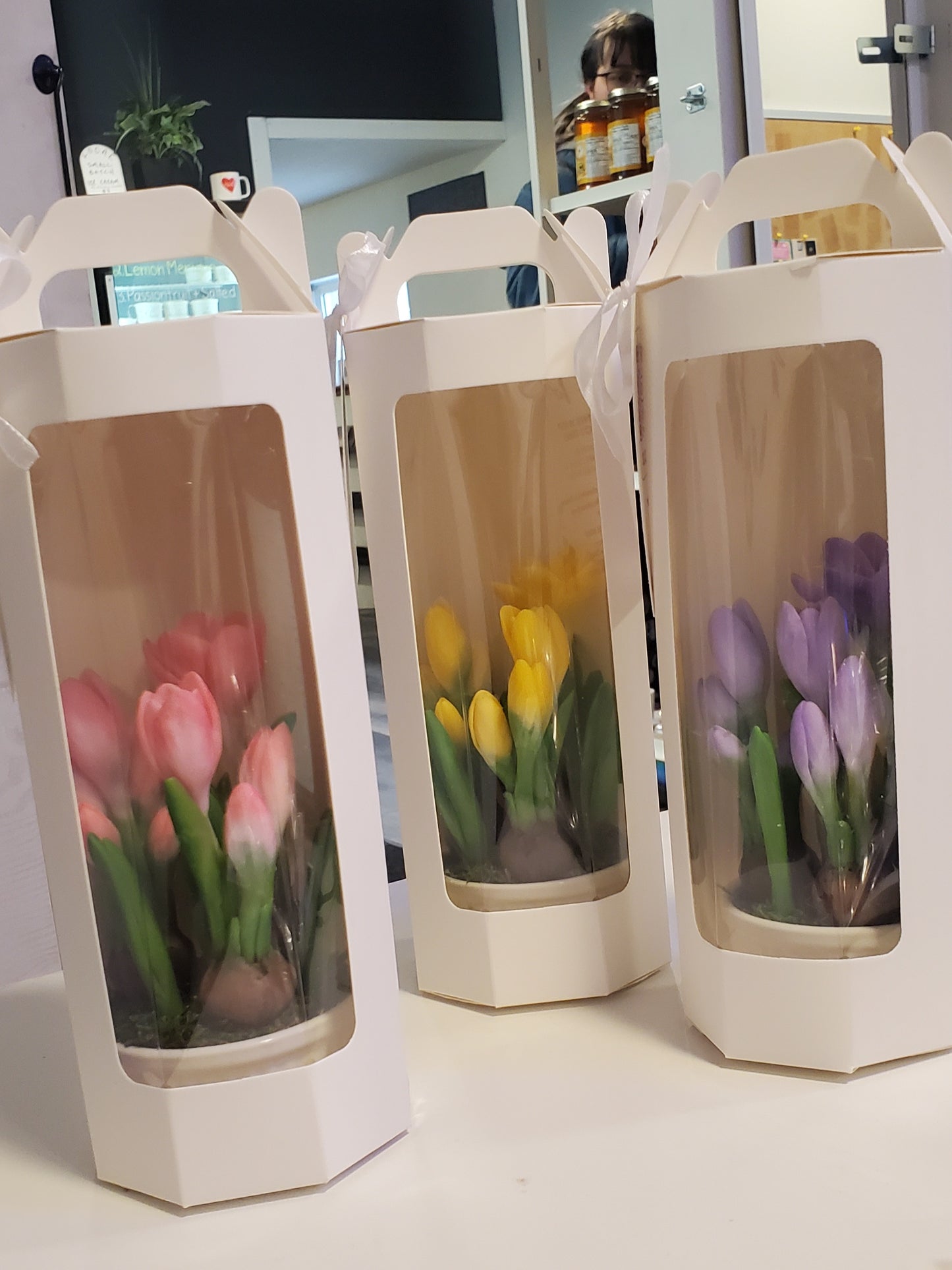 Soap Crocuses