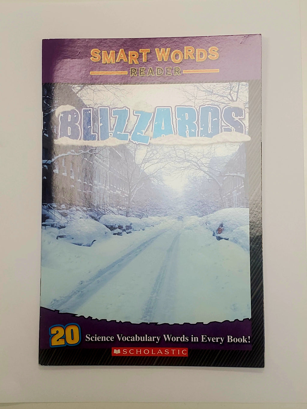 Children's Book Scholastic Readers