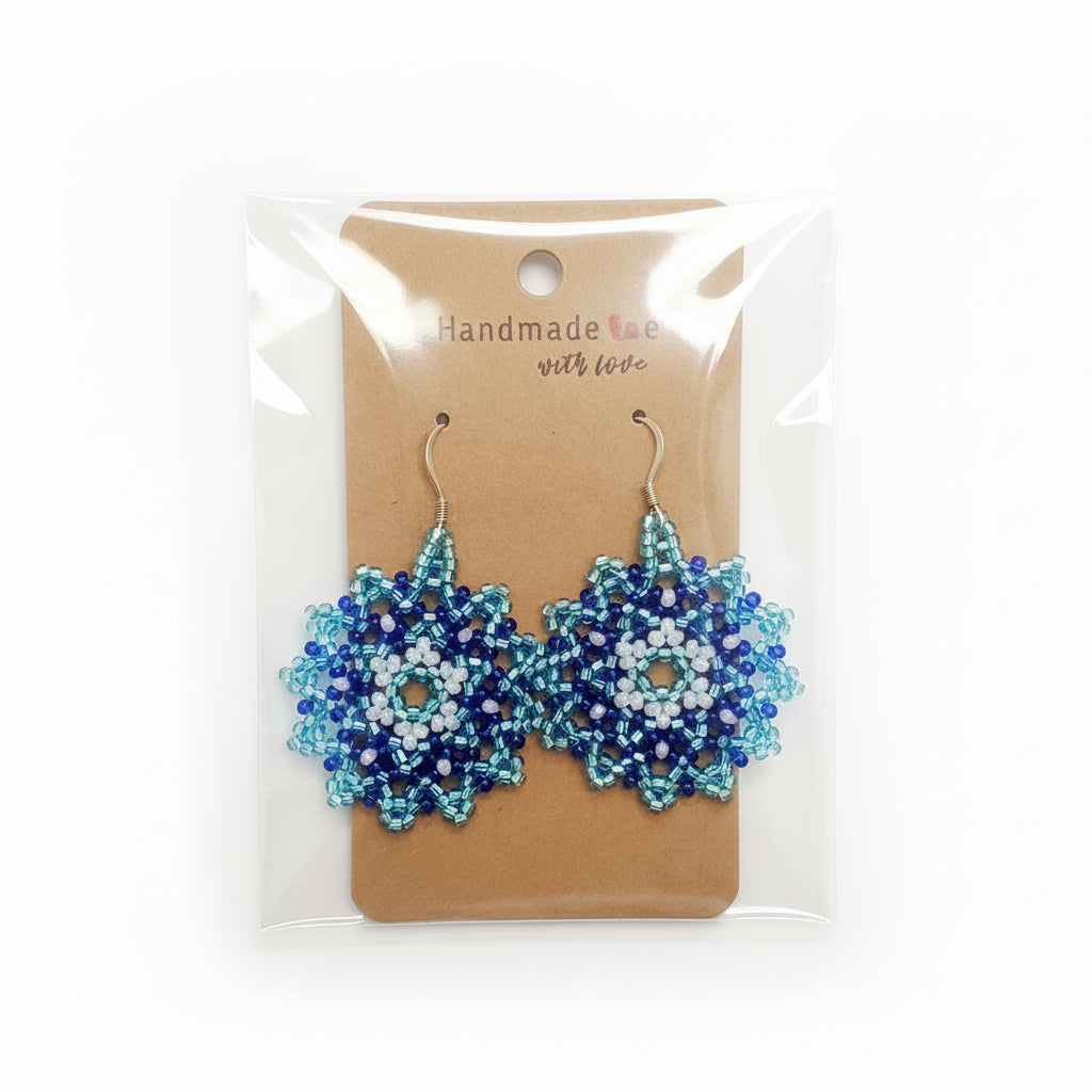 Beaded Earrings T2