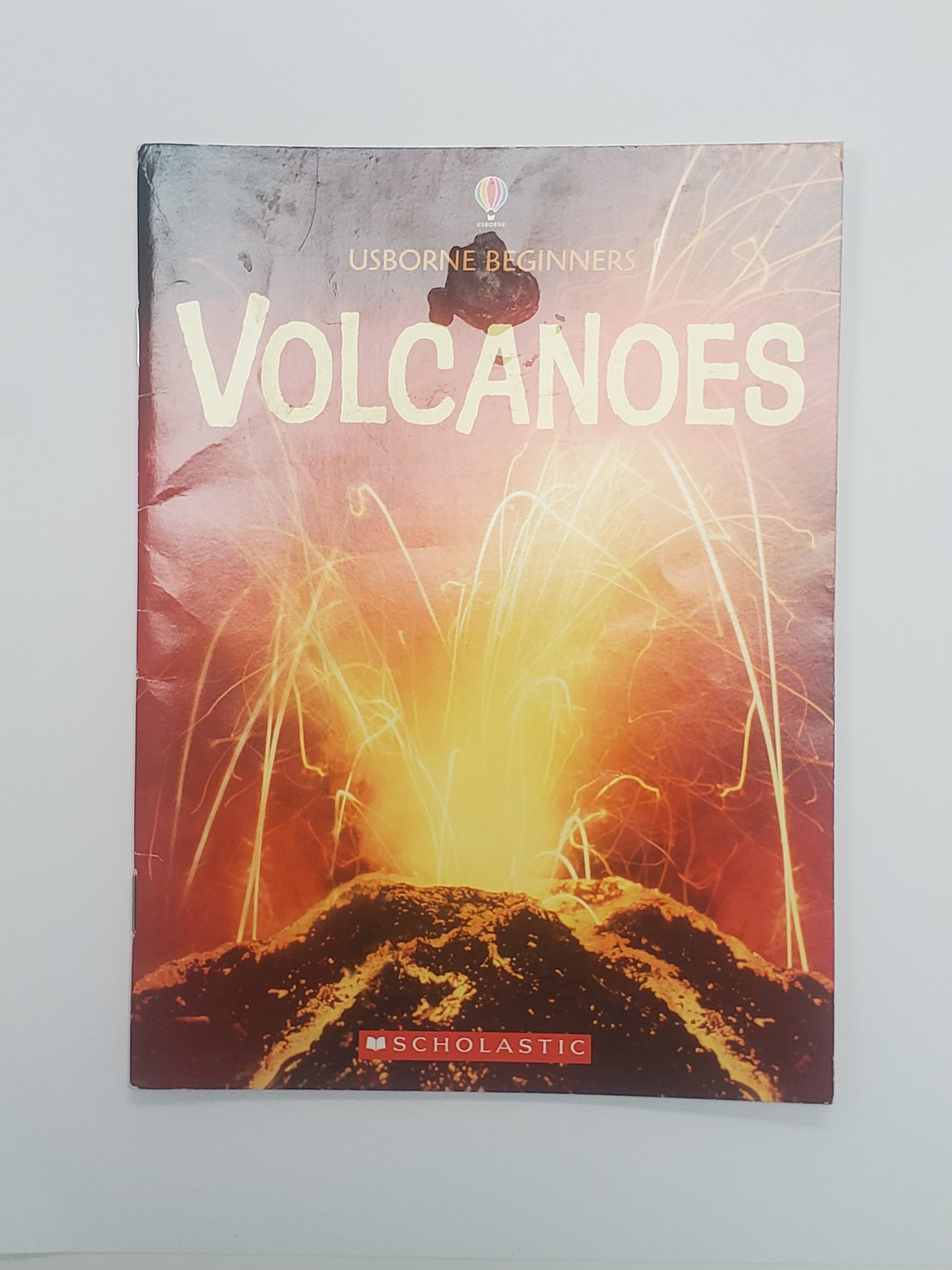 Children's Book Scholastic Readers
