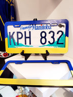 3D print Plate Cover UA Blue Yellow