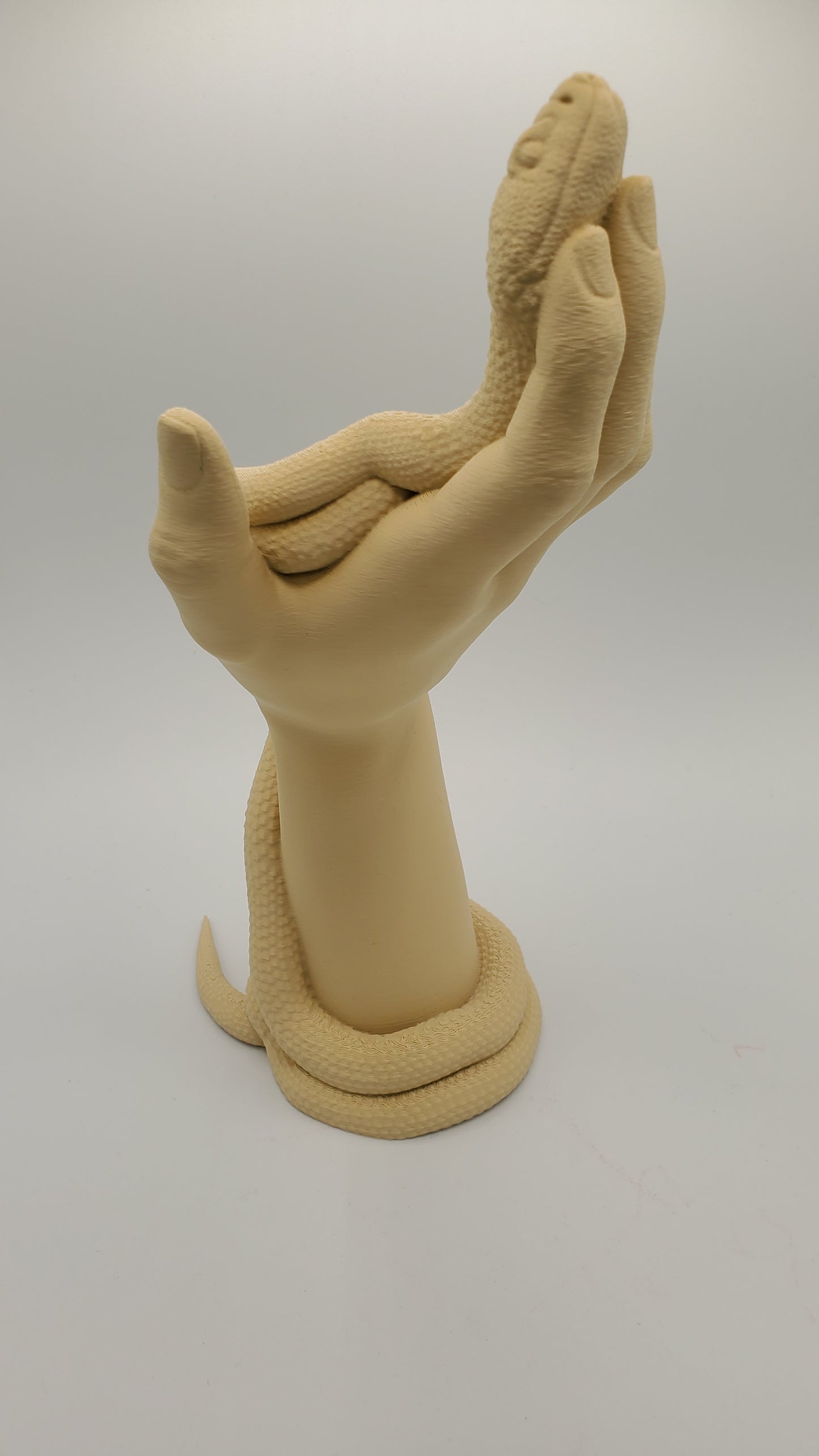 3D Print Hand with Snake